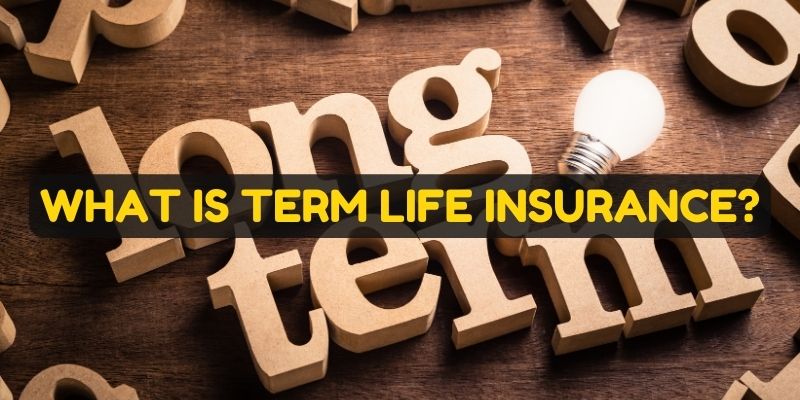 What is term life insurance