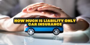 how much is liability only car insurance