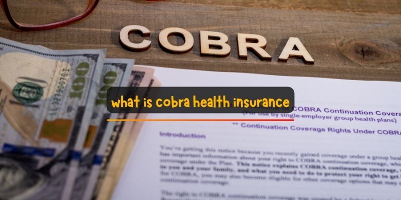 what is cobra health insurance